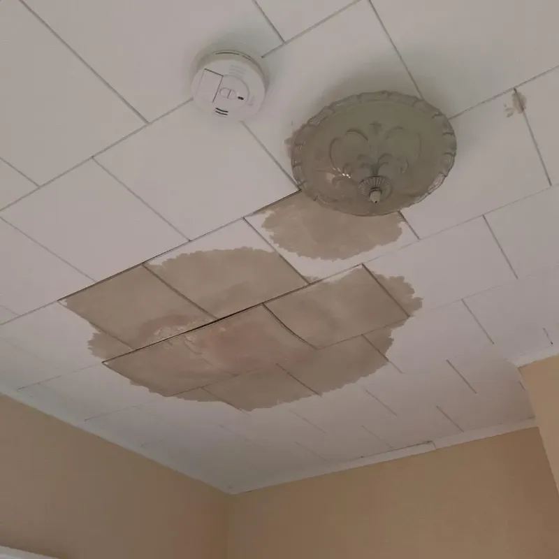 Ceiling Water Damage Repair in Hubbard County, MN
