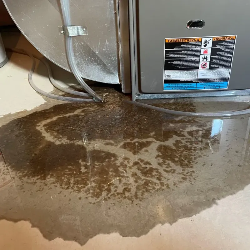 Pipe Burst and Leak Restoration in Hubbard County, MN